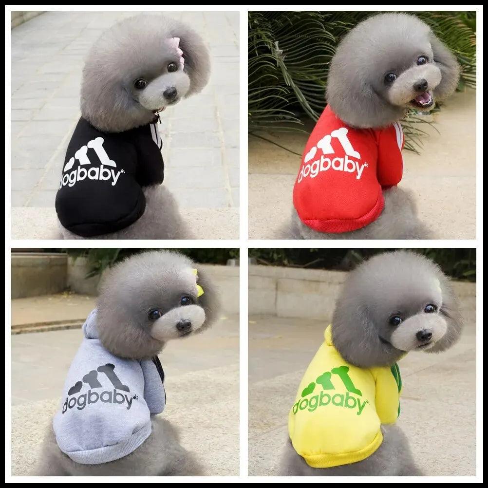 Roupa Para PETS - O Chico Tem