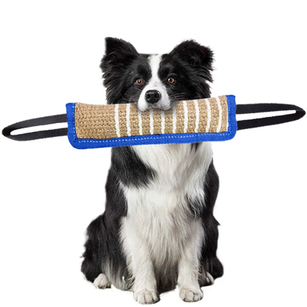 Brinquedos de Mordida para Cães - O Chico Tem