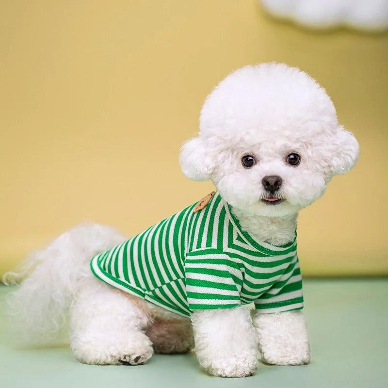 Roupas de verão para pets - O Chico Tem
