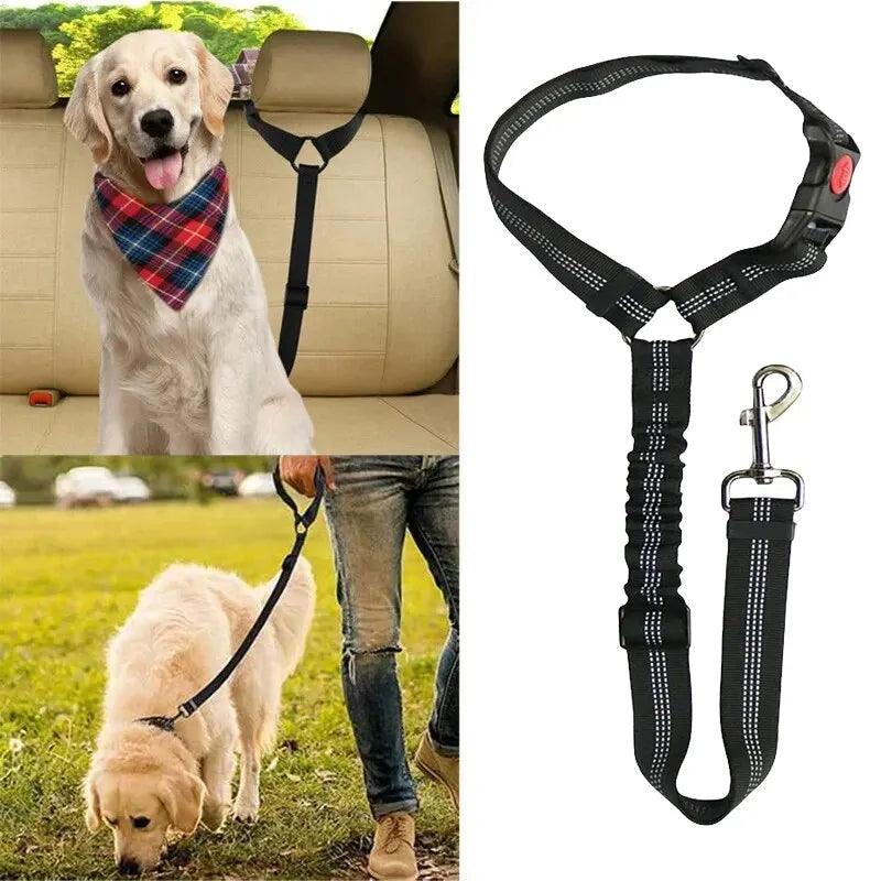 Cinto de Segurança Para Cães - O Chico Tem
