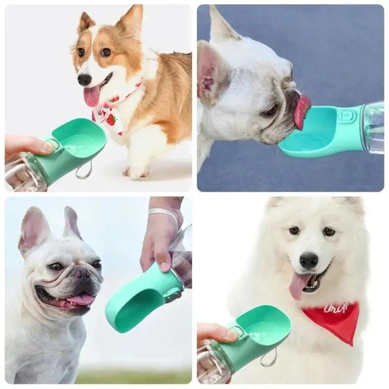 Bebedouro Portátil para PETS - O Chico Tem