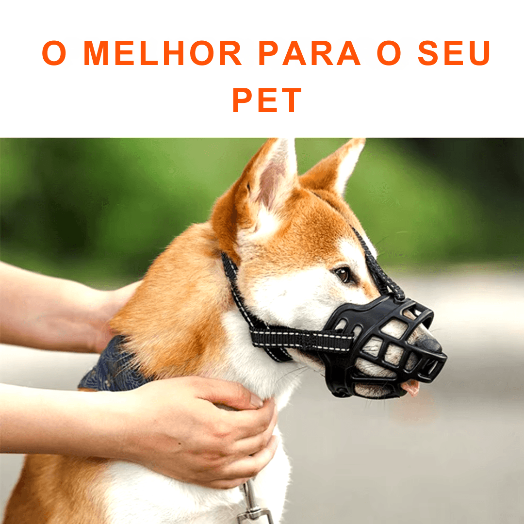 Focinheira Respirável Para Cães - O Chico Tem
