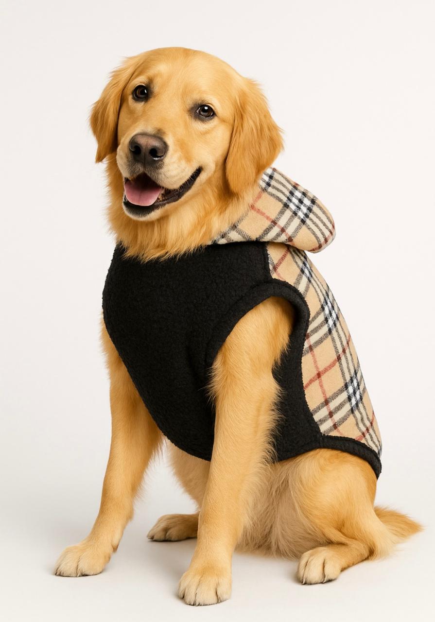 Roupa de inverno para cães grandes - O Chico tem