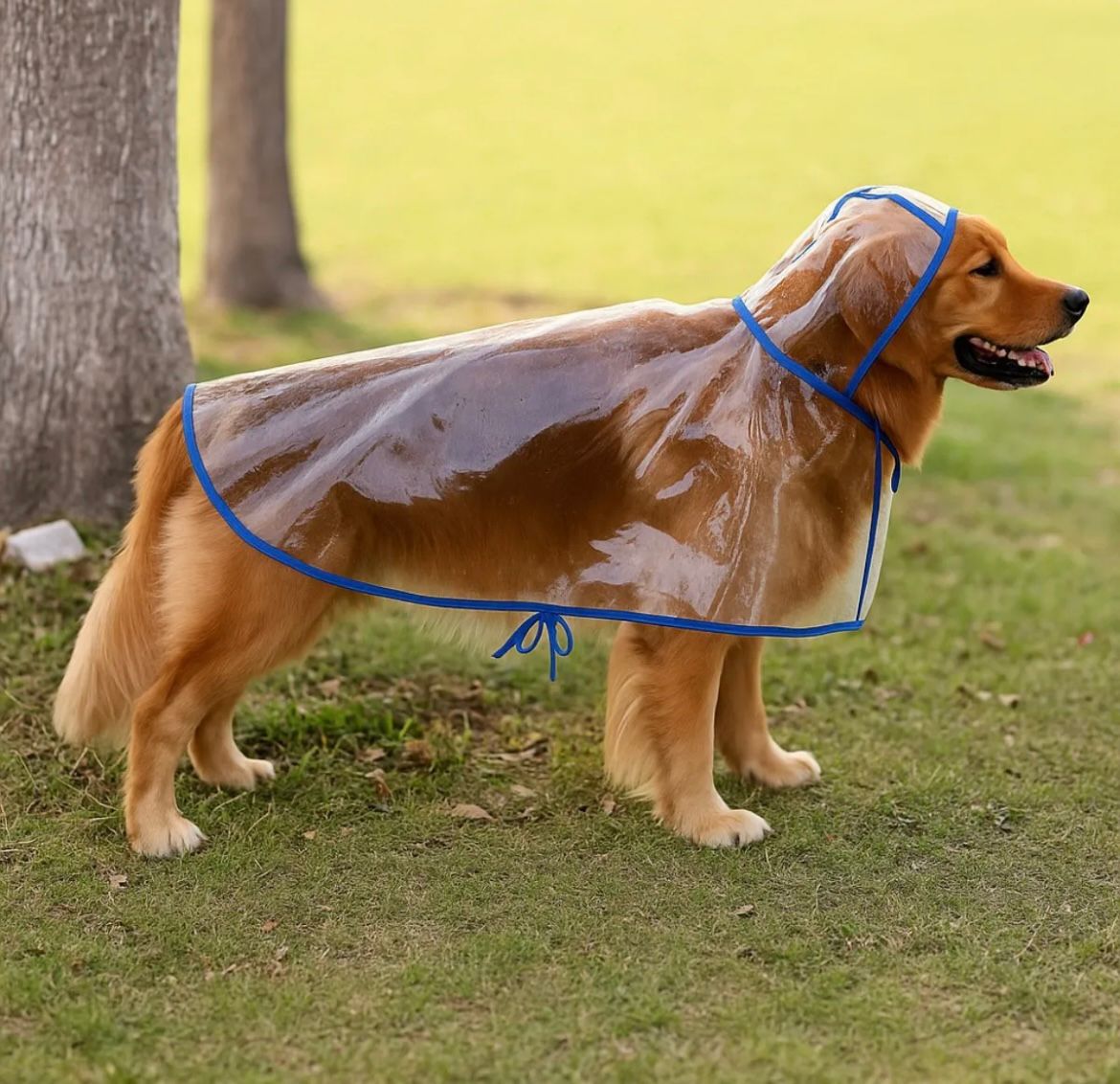 Capa de chuva com capuz para cães - O Chico Tem