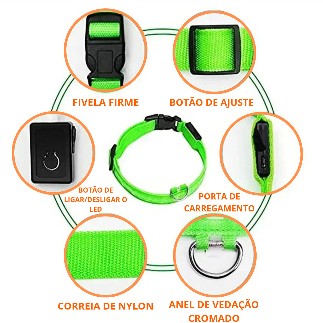 Coleira LED Recarregável para Cães - Segurança Noturna
