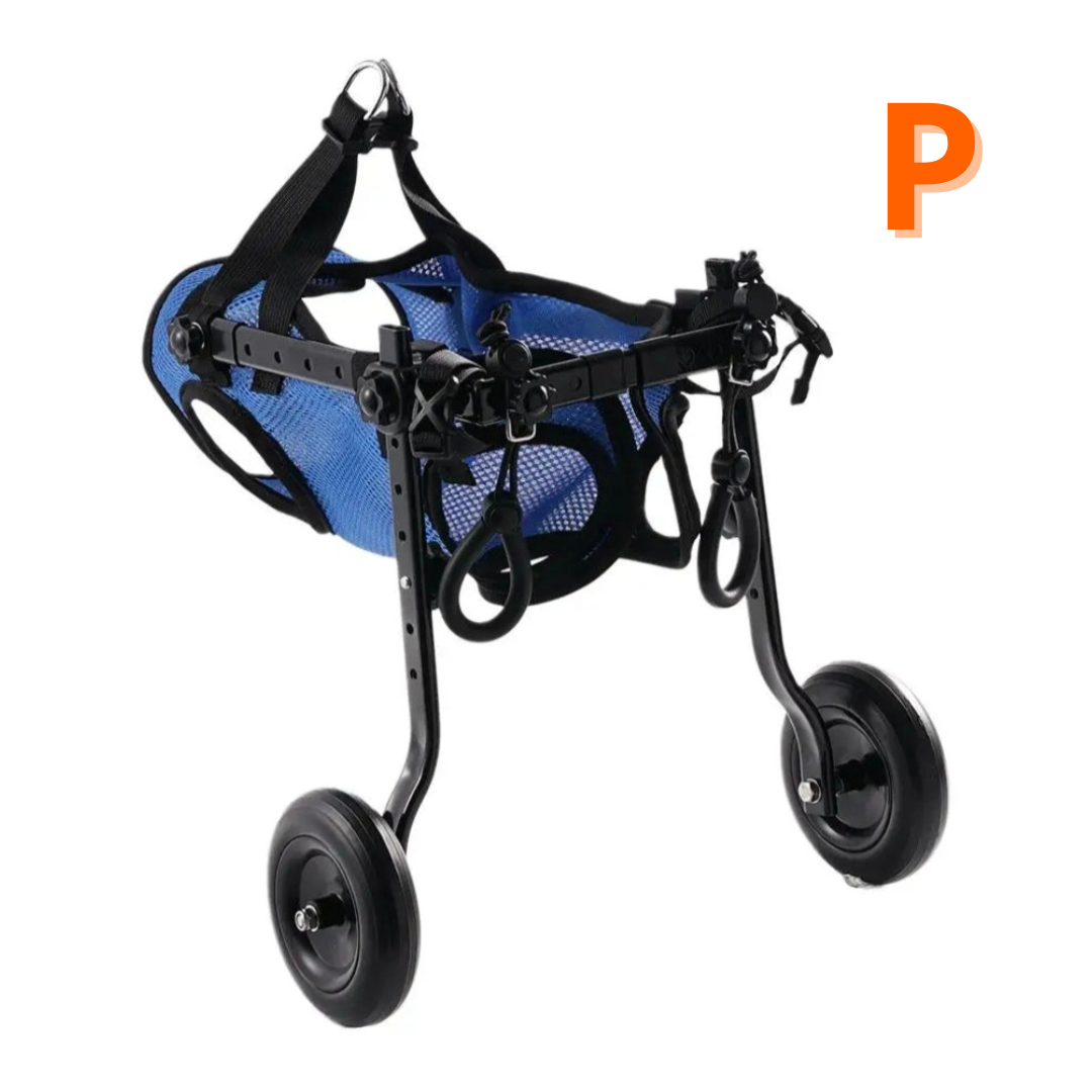 Carrinho de Reabilitação para Cães - Mobilidade e Conforto