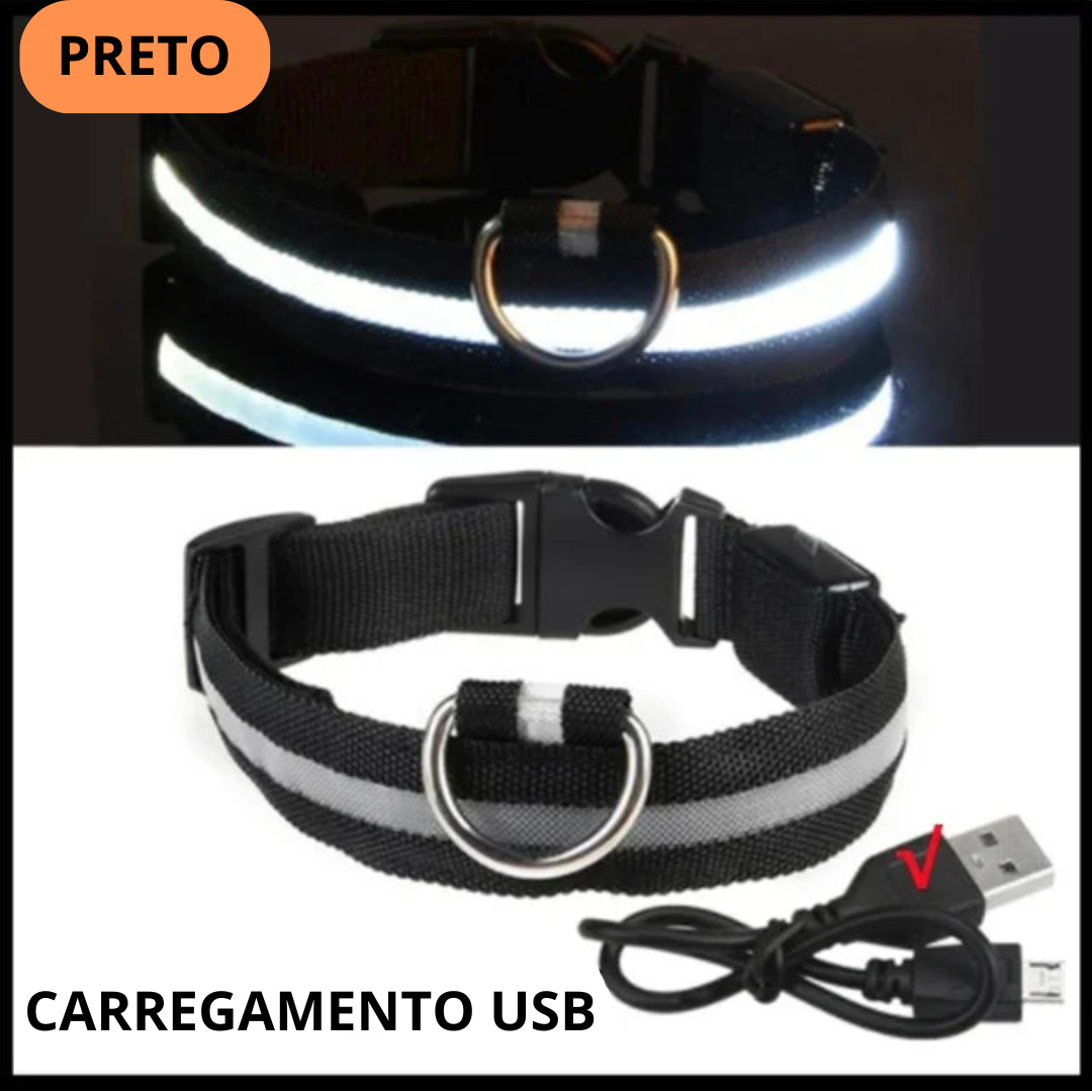 Coleira LED Recarregável para Cães - Segurança Noturna