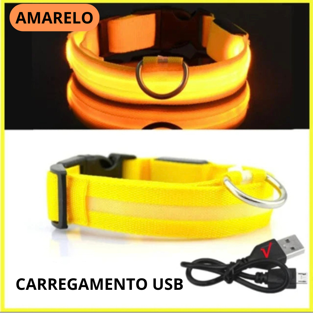 Coleira LED Recarregável para Cães - Segurança Noturna