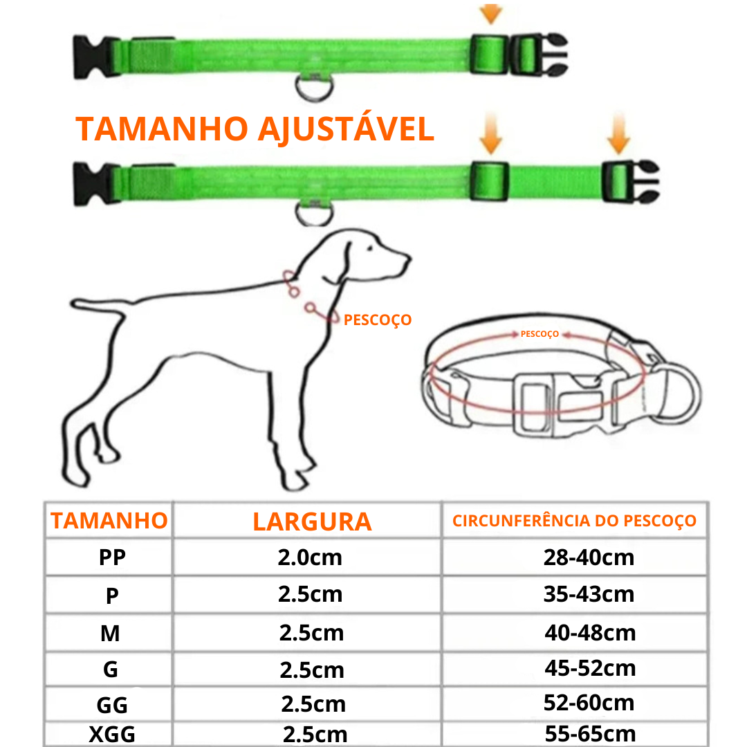 Coleira LED Recarregável para Cães - Segurança Noturna