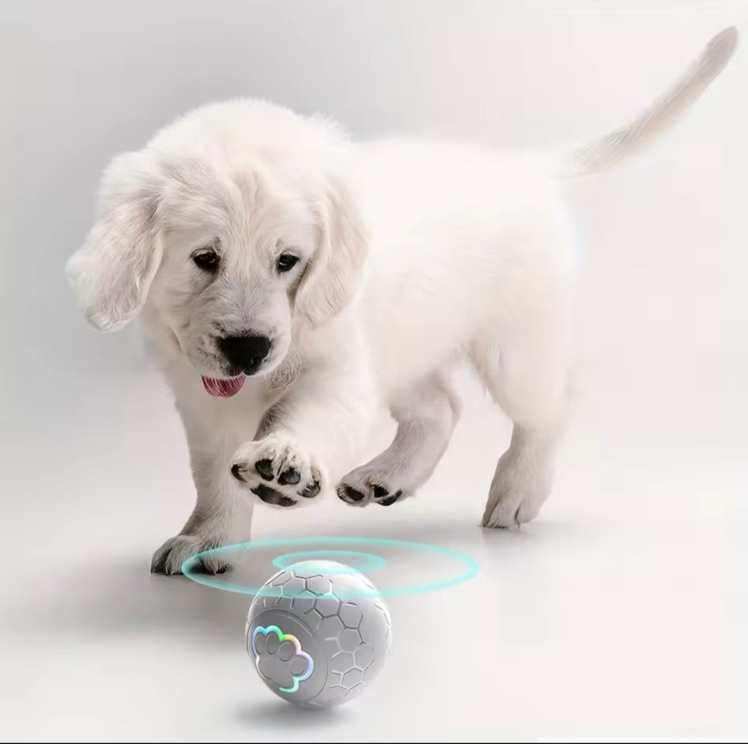 Bola LED Inteligente para Pets - Interativa - O Chico Tem