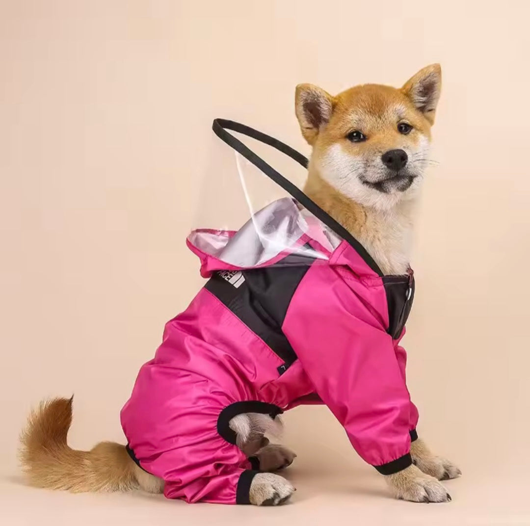 Capa de Chuva Transparente para Pets com Capuz