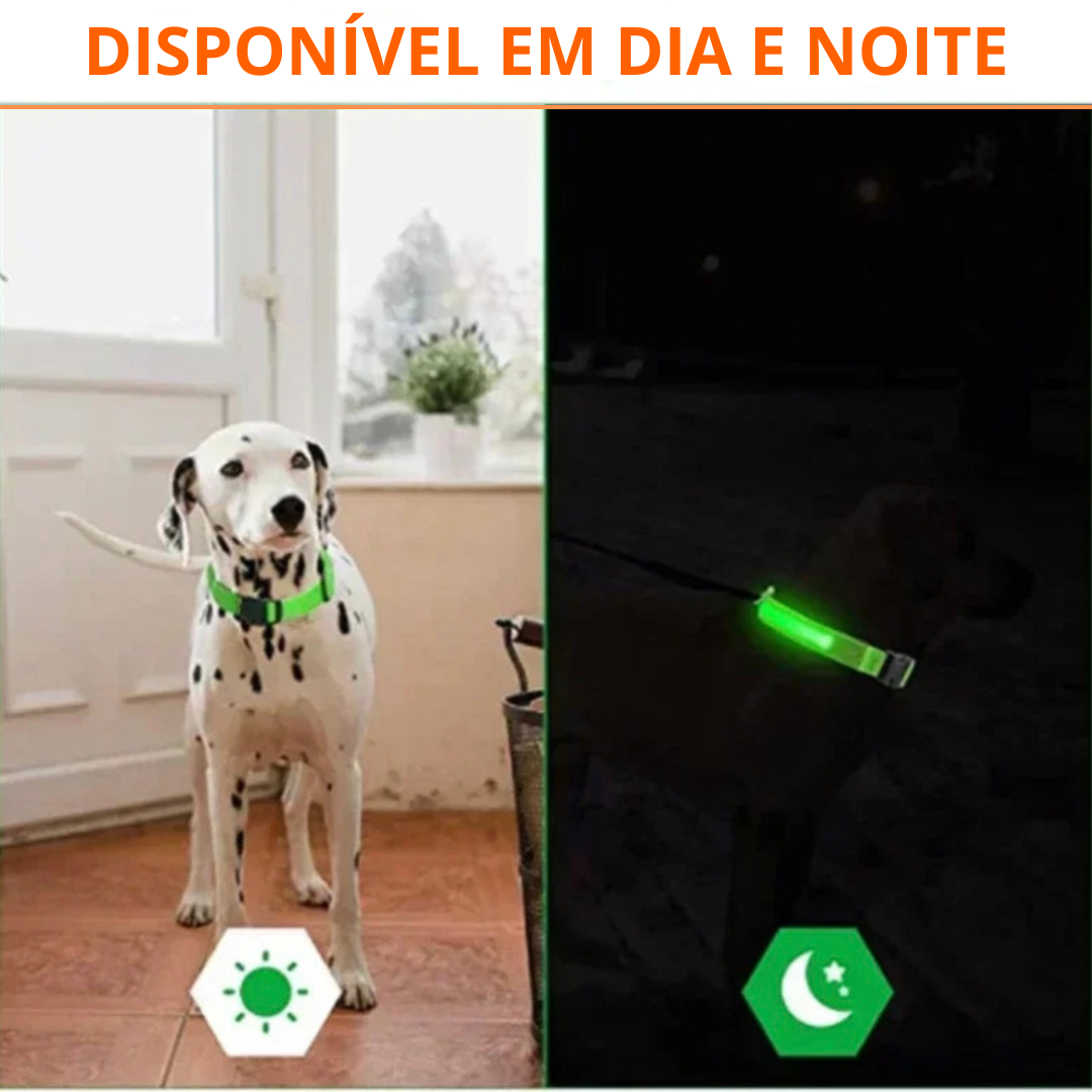 Coleira LED Recarregável para Cães - Segurança Noturna