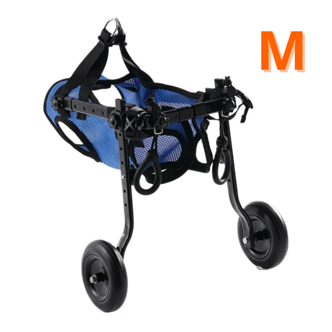 Carrinho de Reabilitação para Cães - Mobilidade e Conforto
