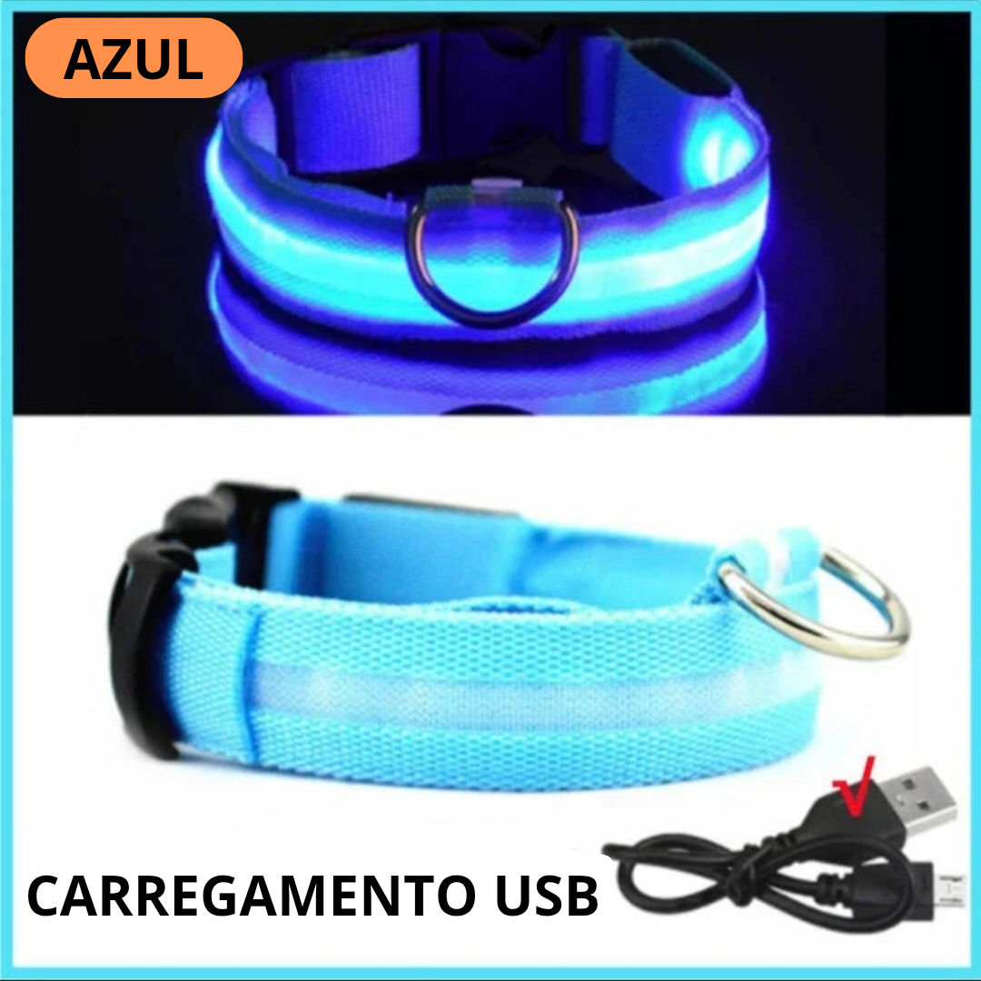 Coleira LED Recarregável para Cães - Segurança Noturna