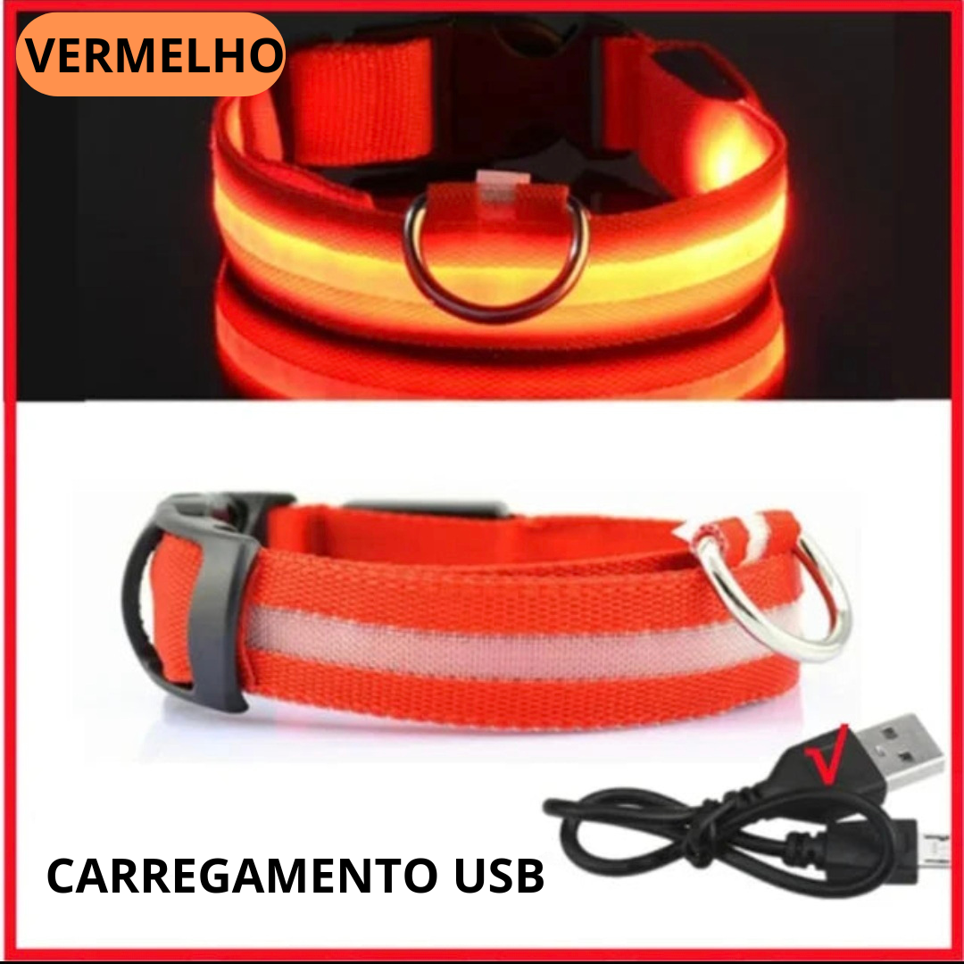 Coleira LED Recarregável para Cães - Segurança Noturna