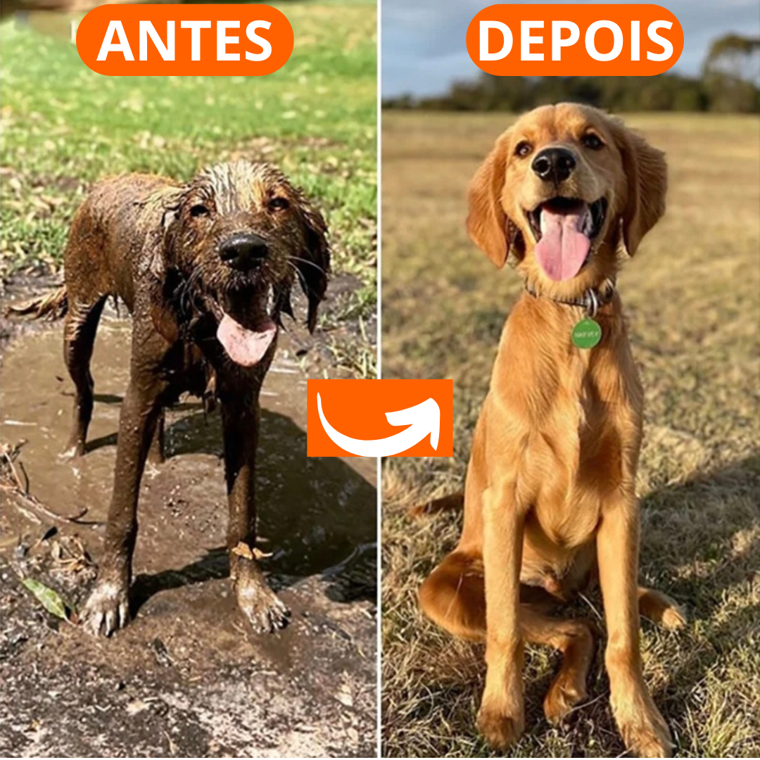 Pulverizador Ajustável de Alta Pressão para Pets