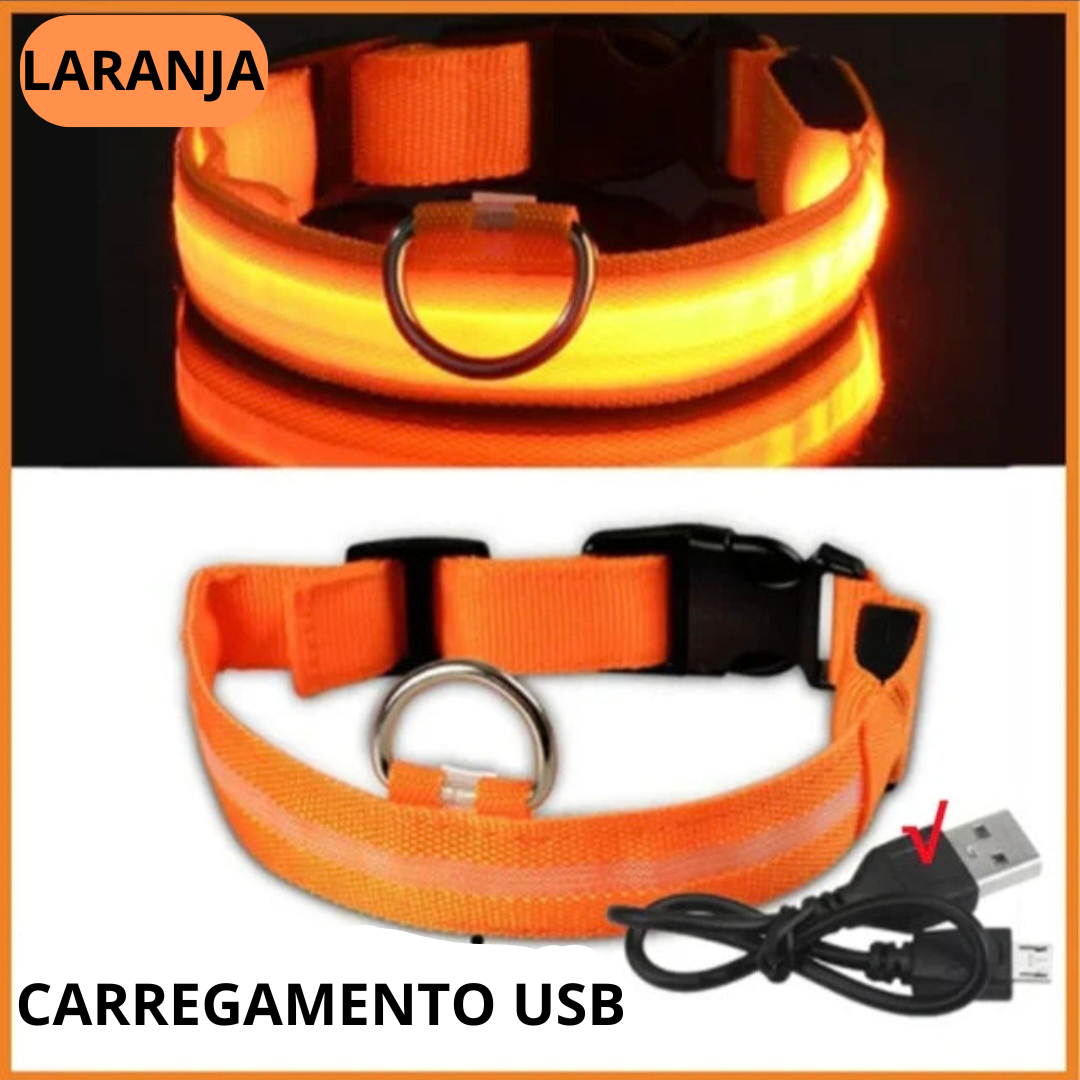 Coleira LED Recarregável para Cães - Segurança Noturna