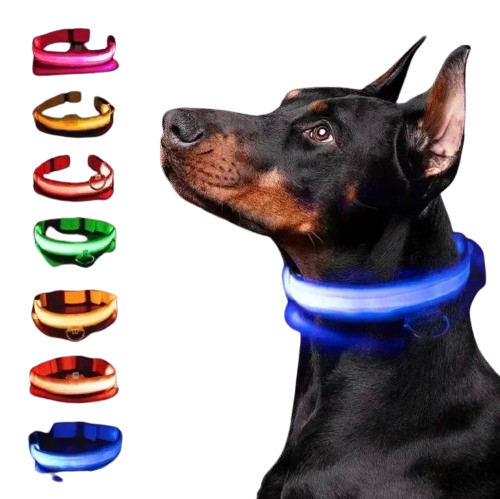 Coleira LED Recarregável para Cães - Segurança Noturna