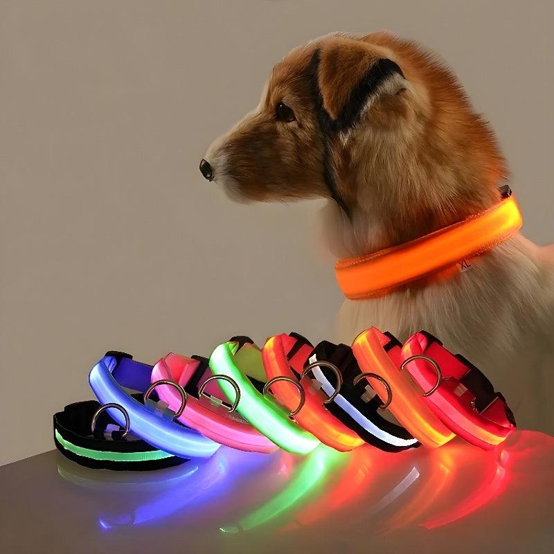 Coleira para pet Led Brilhante - O Chico Tem