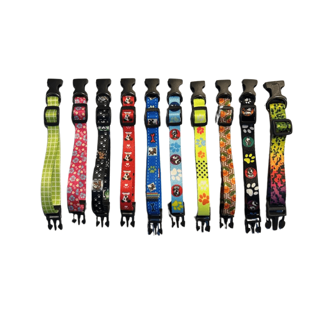 Kit 10 Coleiras Ajustáveis para PETS - O Chico Tem