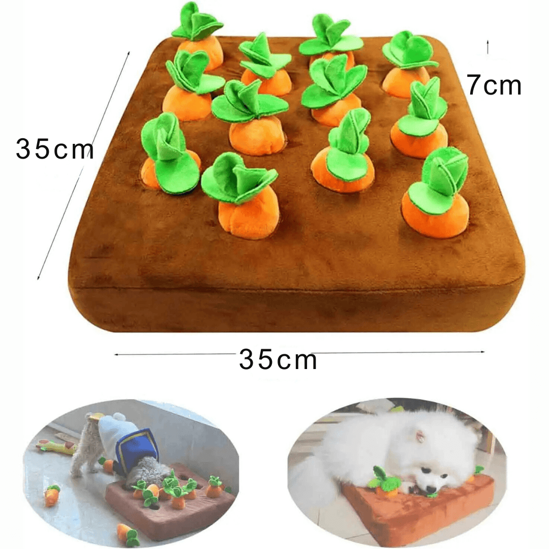 Horta de Pelúcia para PETS - O Chico Tem