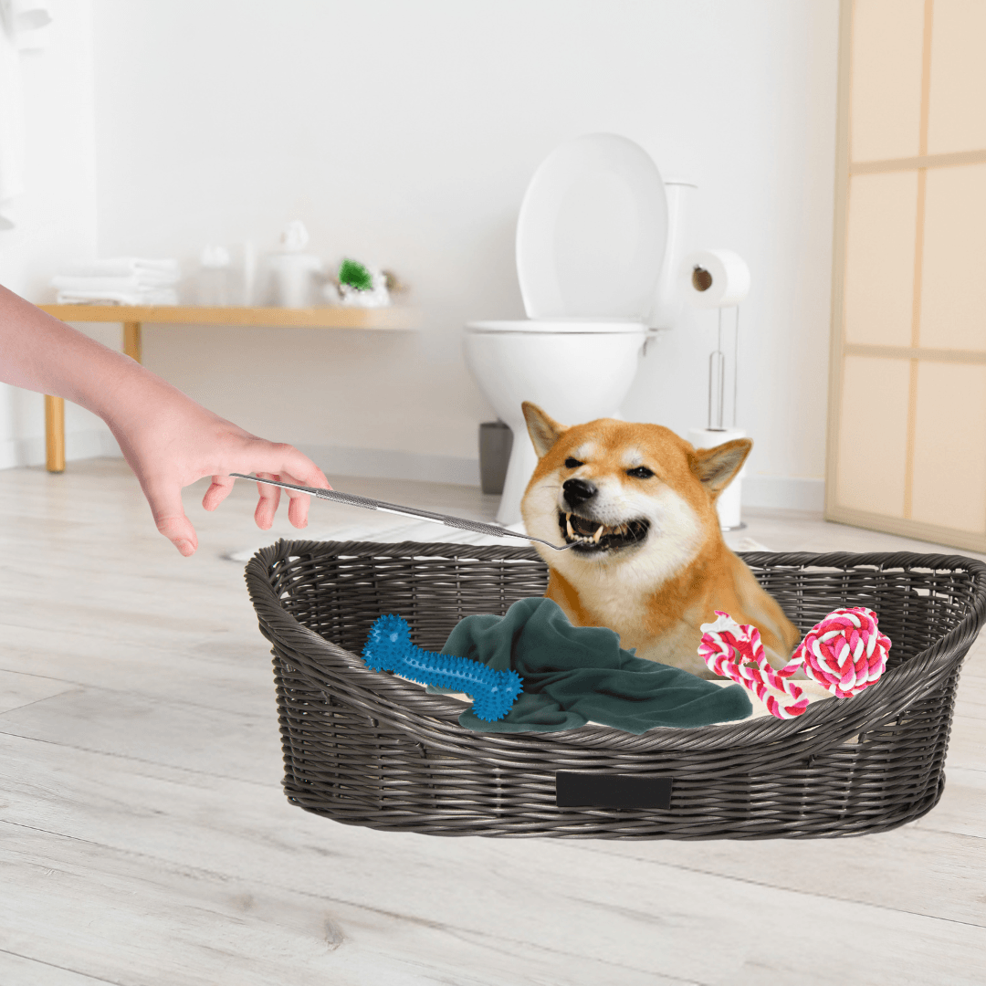 Higiene Bucal Removedor de Tártaro para PETS - O Chico Tem