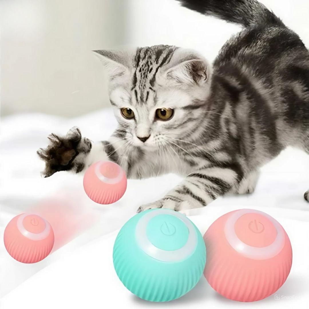 Bola Interativa Inteligente para Gatos - O Chico Tem