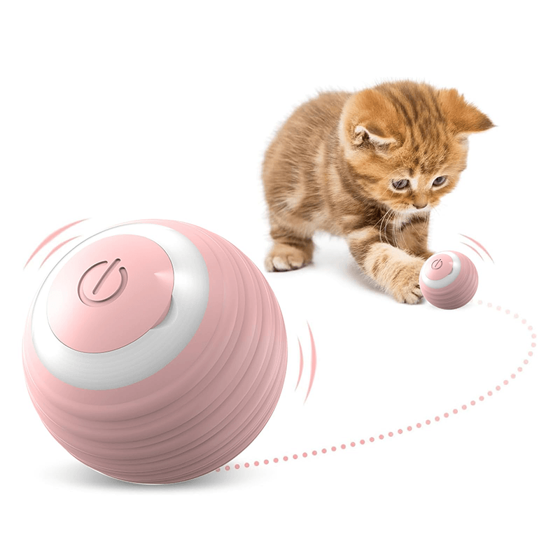 Bola Interativa Inteligente para Gatos - O Chico Tem
