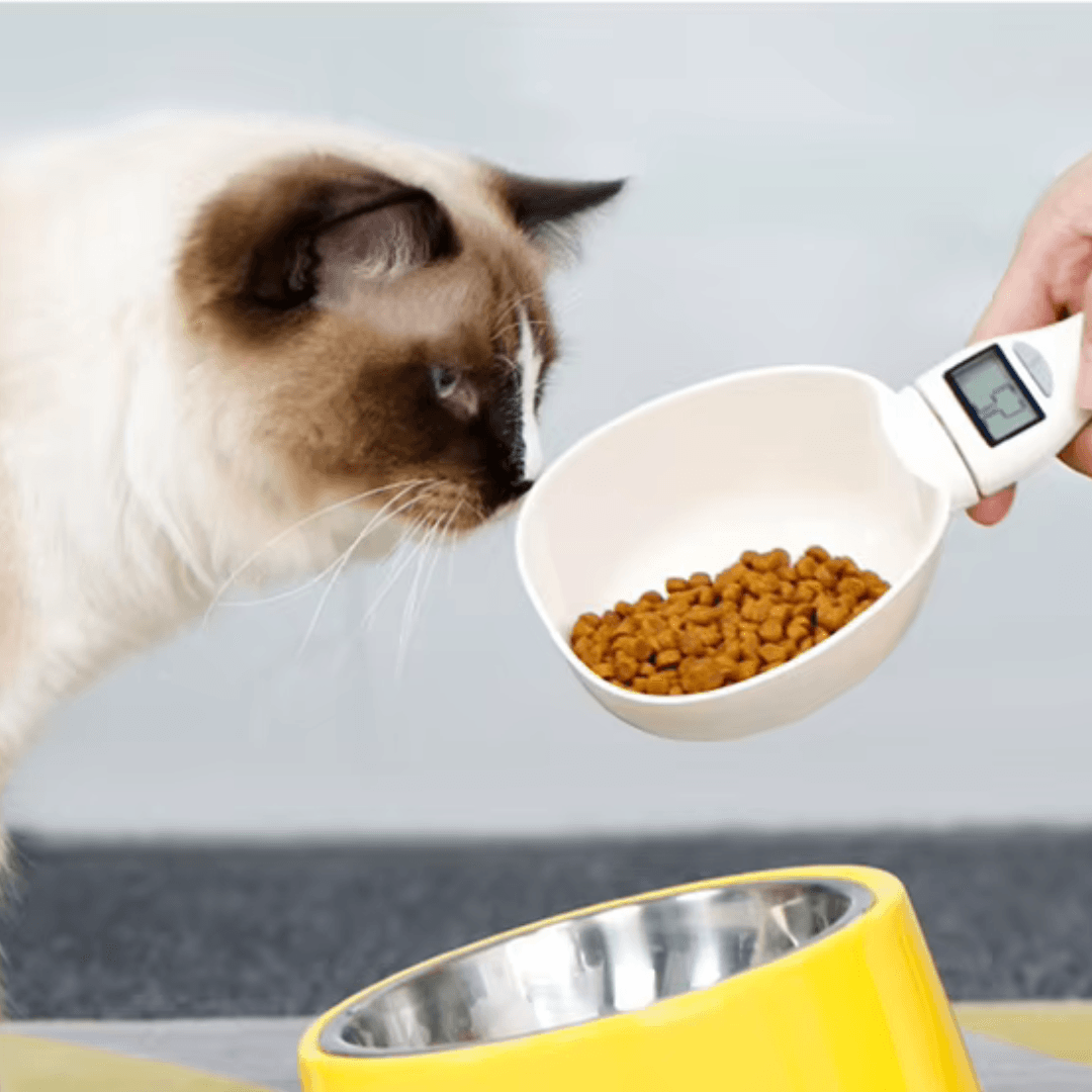 Colher balança digital de Alimentação para PETS - O Chico Tem