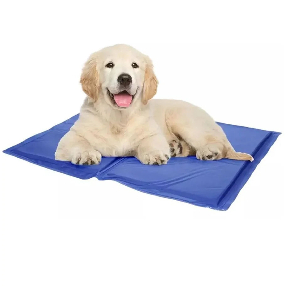 Tapete Gelado para Cães - O Chico Tem