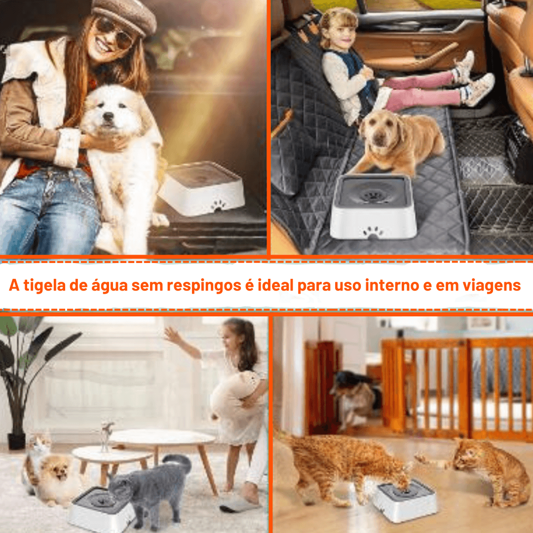 Bebedouro antirespingo para PETS - O Chico Tem