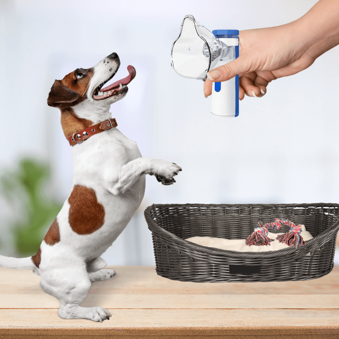 Inalador Portátil para PETS - O Chico Tem