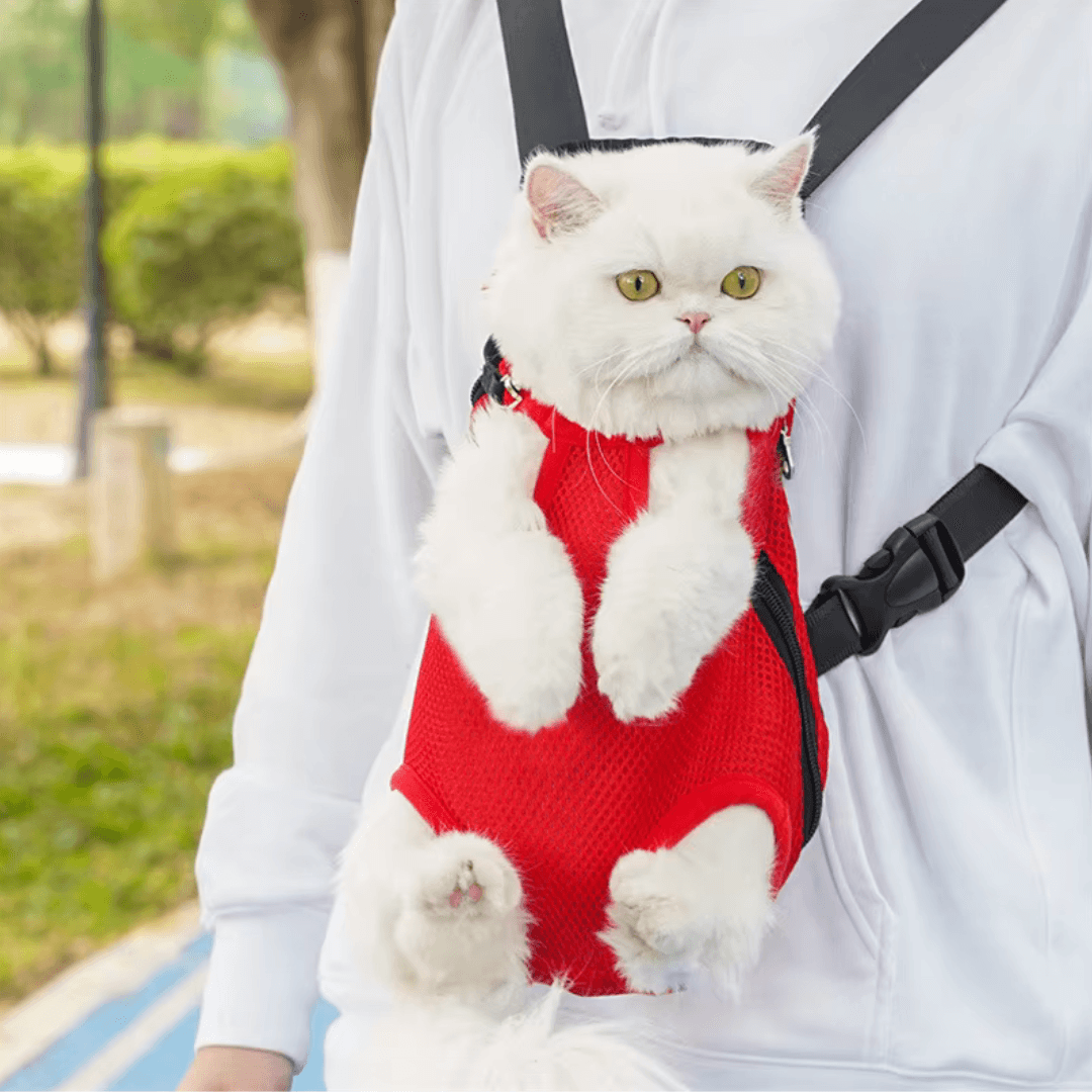Mochila Canguru de Transporte para PETS - O Chico Tem