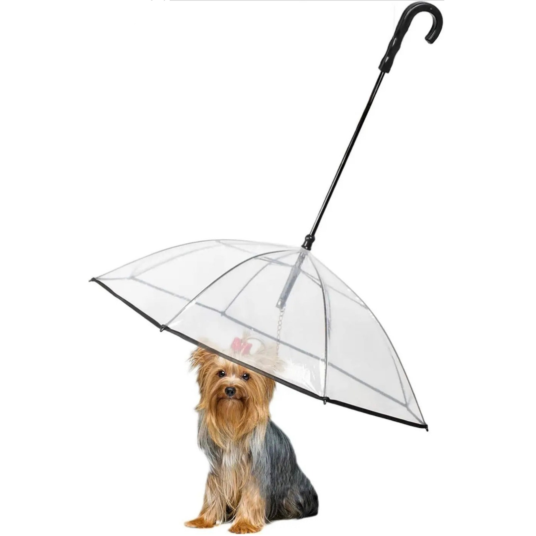Guarda Chuvas Impermeável Ajustável para Cães Pequenos - O Chico Tem