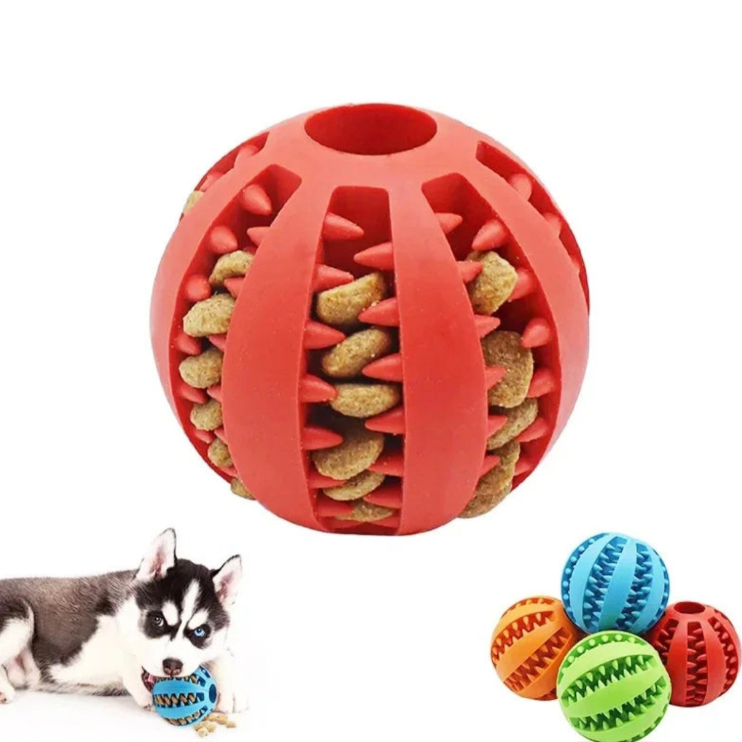 Bola de Brinquedo para PETS - O Chico Tem