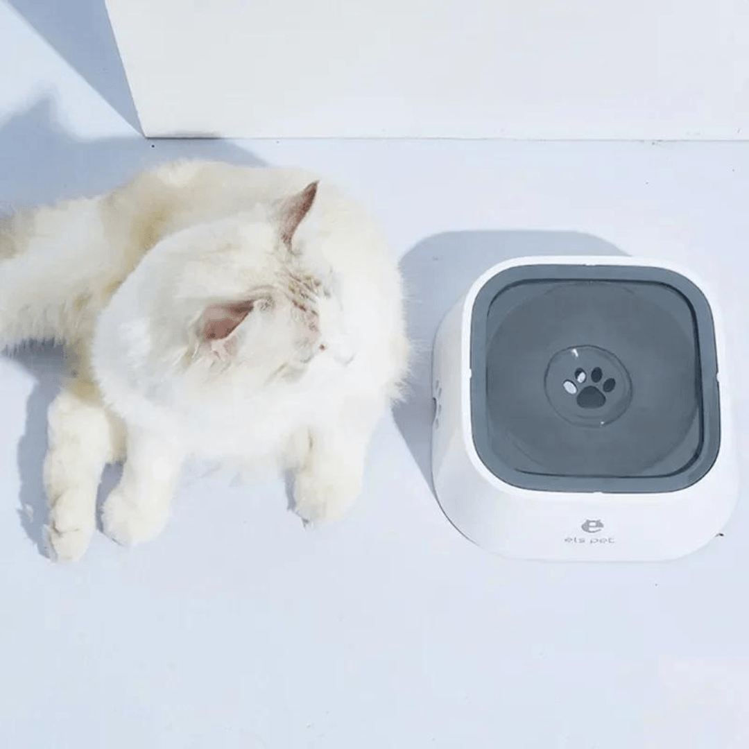 Bebedouro antirespingo para PETS - O Chico Tem