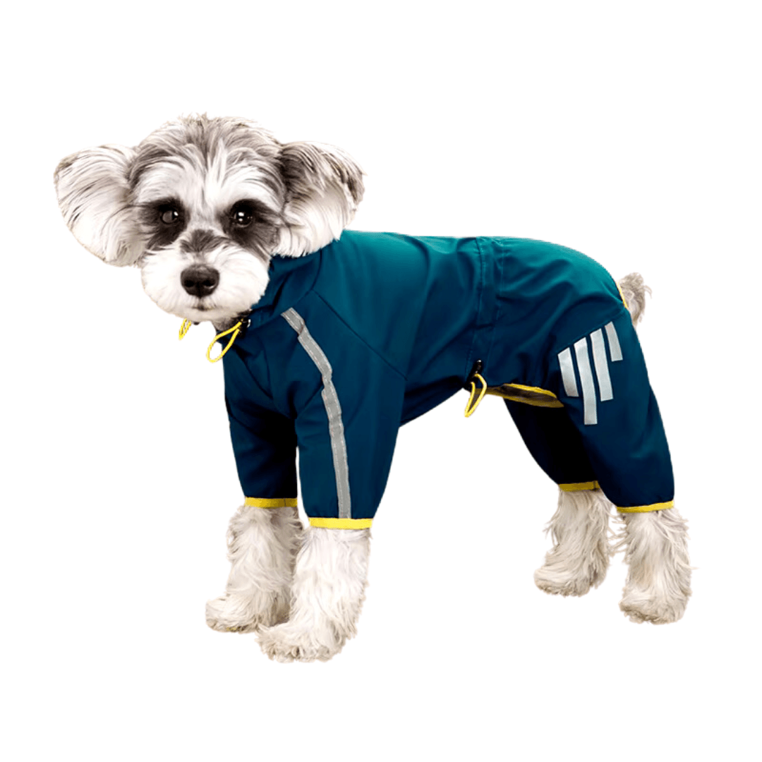 Capa de chuva para Cachorros - O Chico Tem