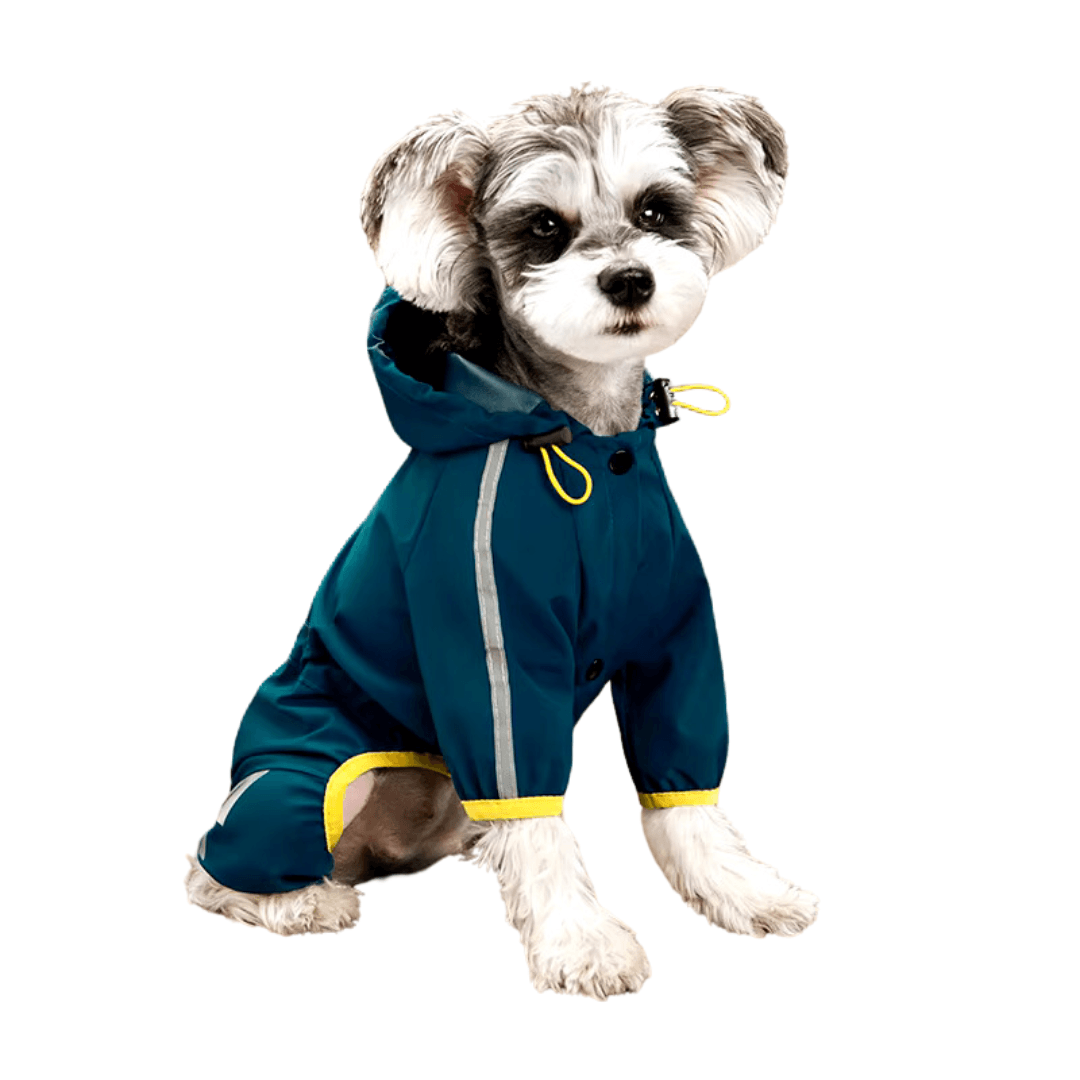 Capa de chuva para Cachorros - O Chico Tem