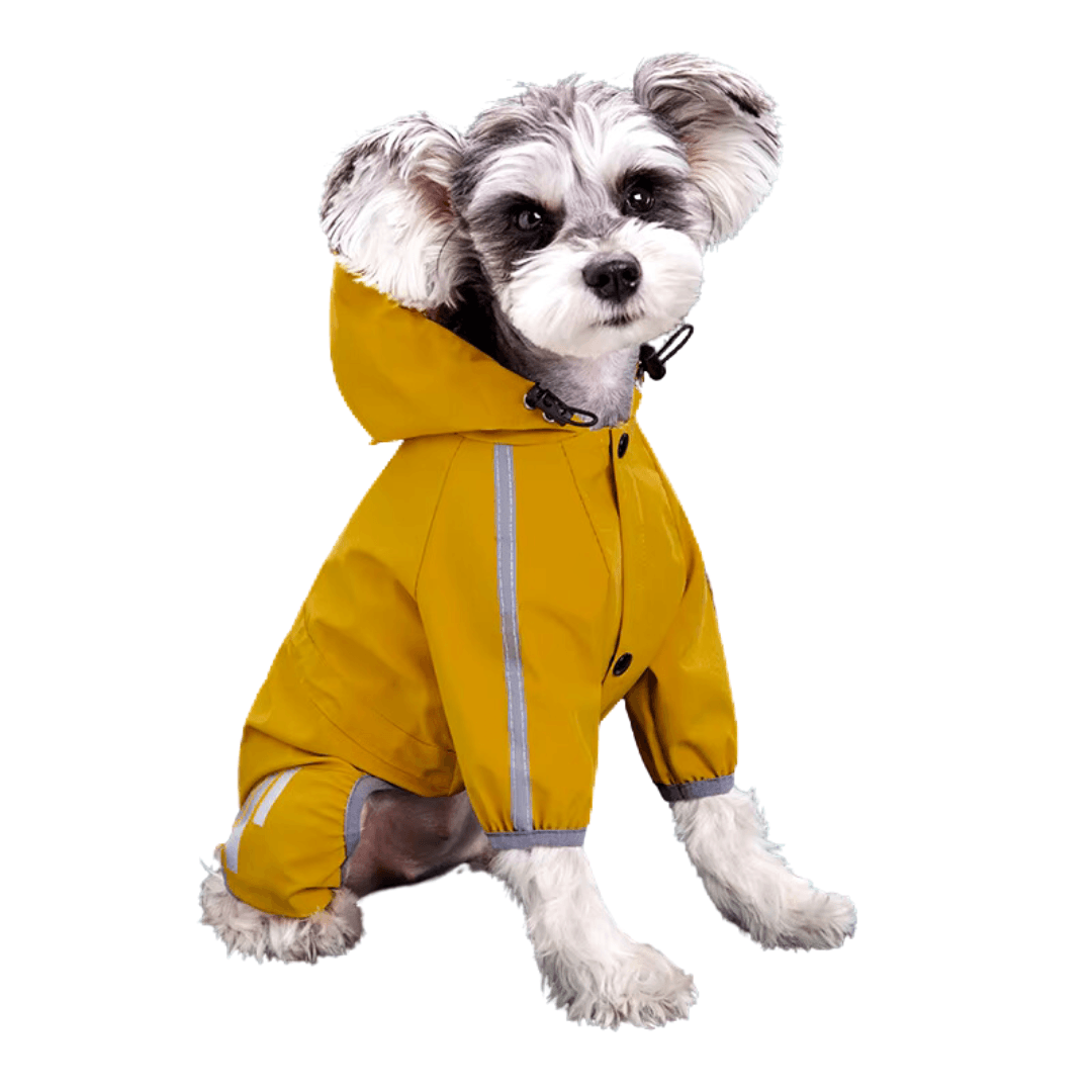 Capa de chuva para Cachorros - O Chico Tem