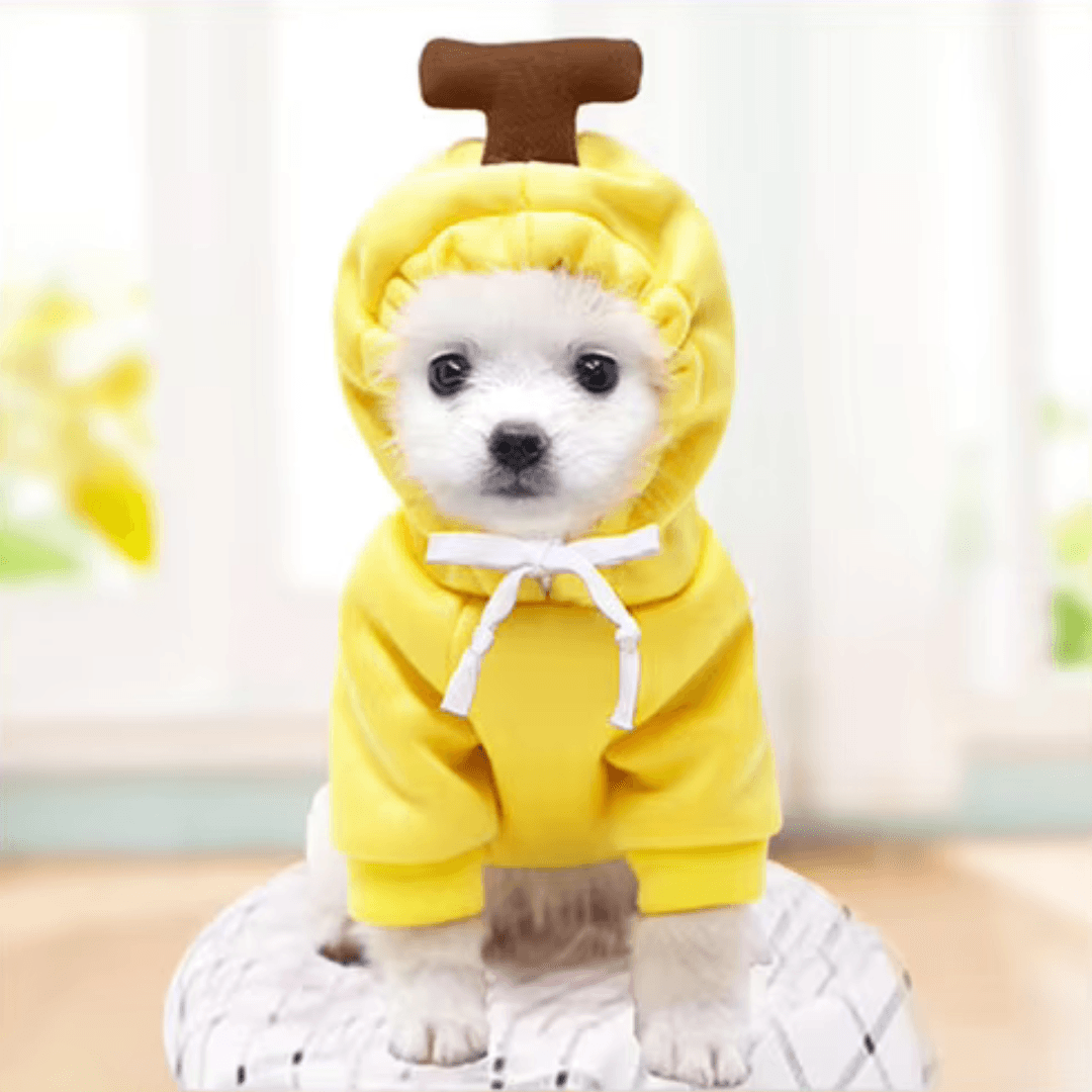Roupa de Inverno Divertida para Cão - O Chico Tem