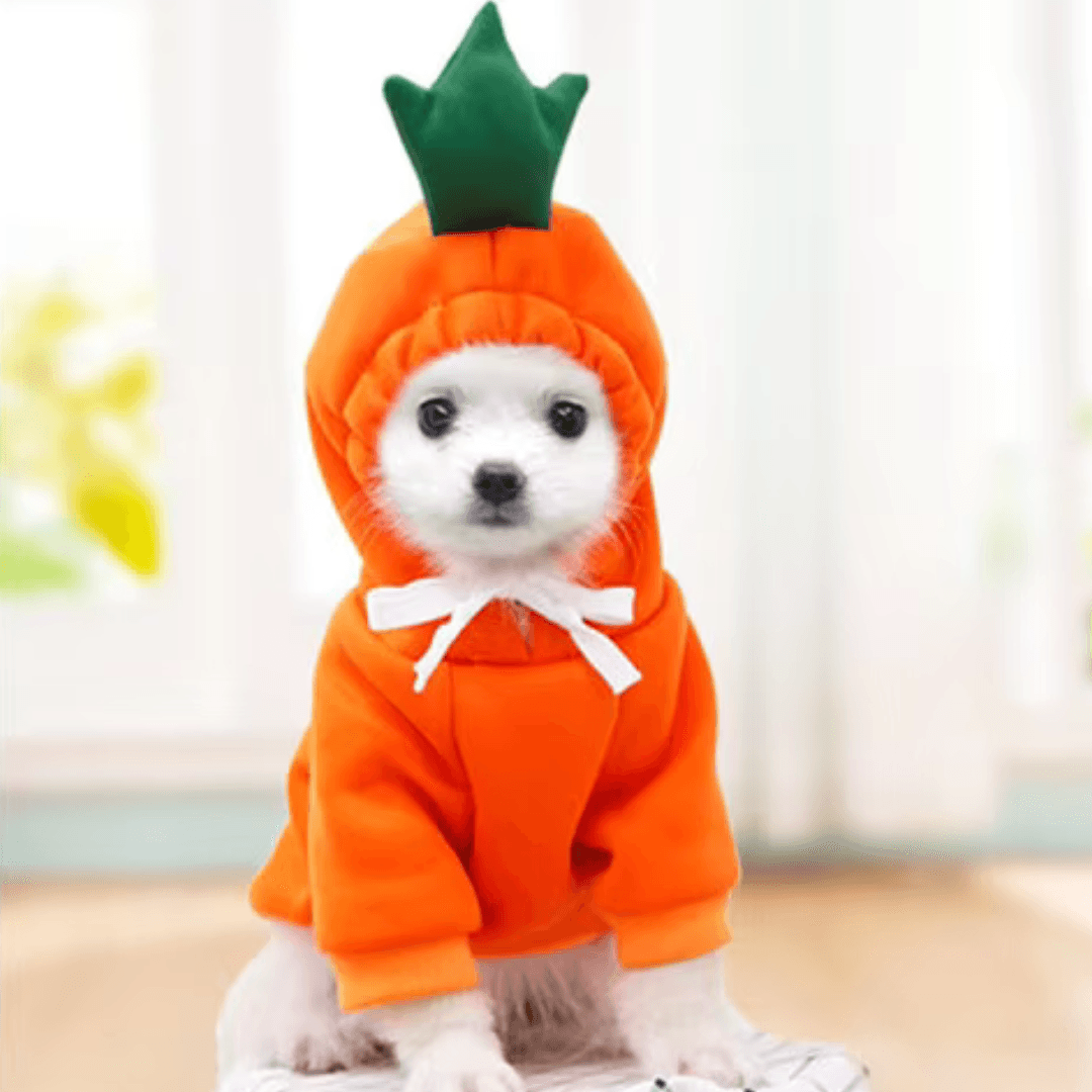Roupa de Inverno Divertida para Cão - O Chico Tem