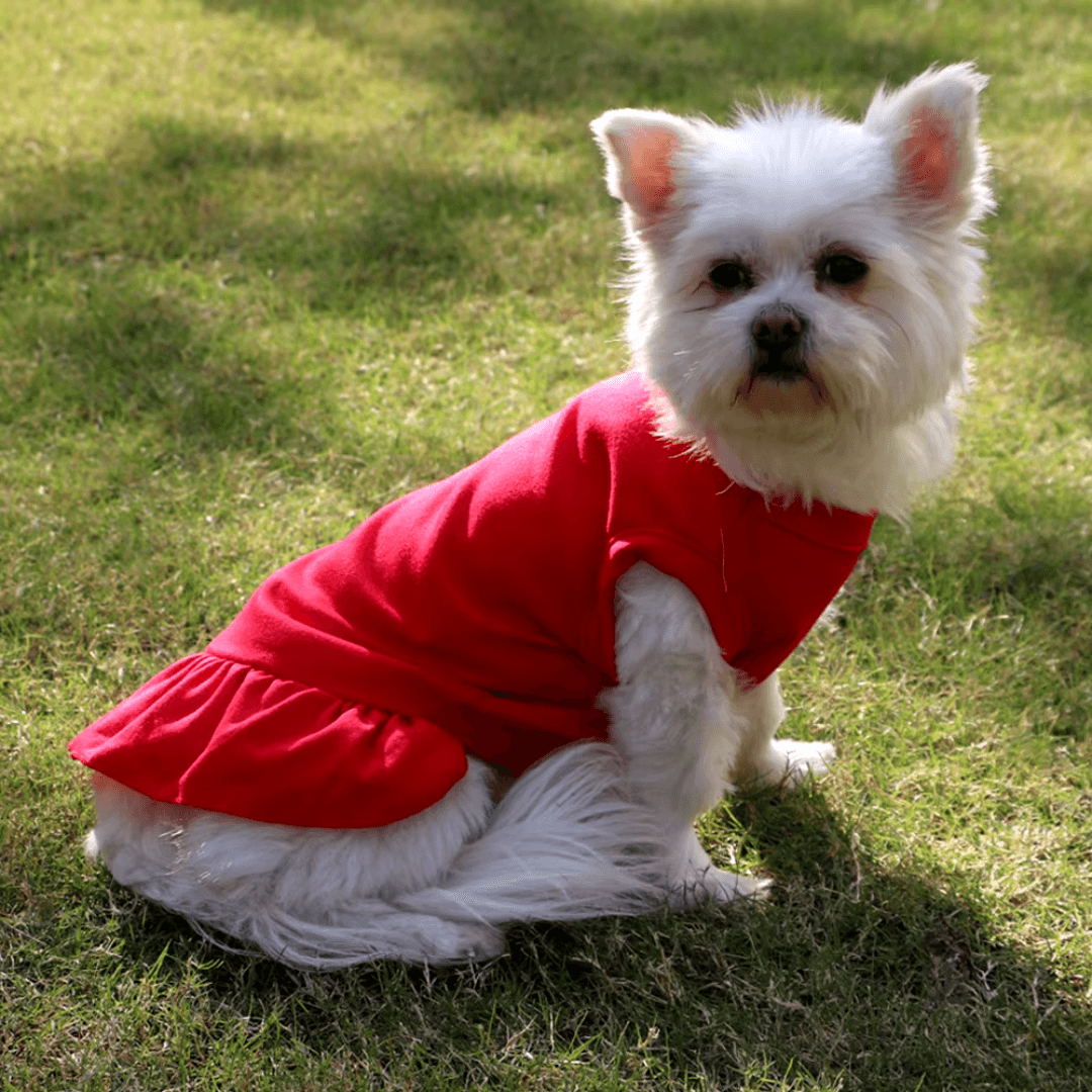 Mini Saia para PETS - O Chico Tem