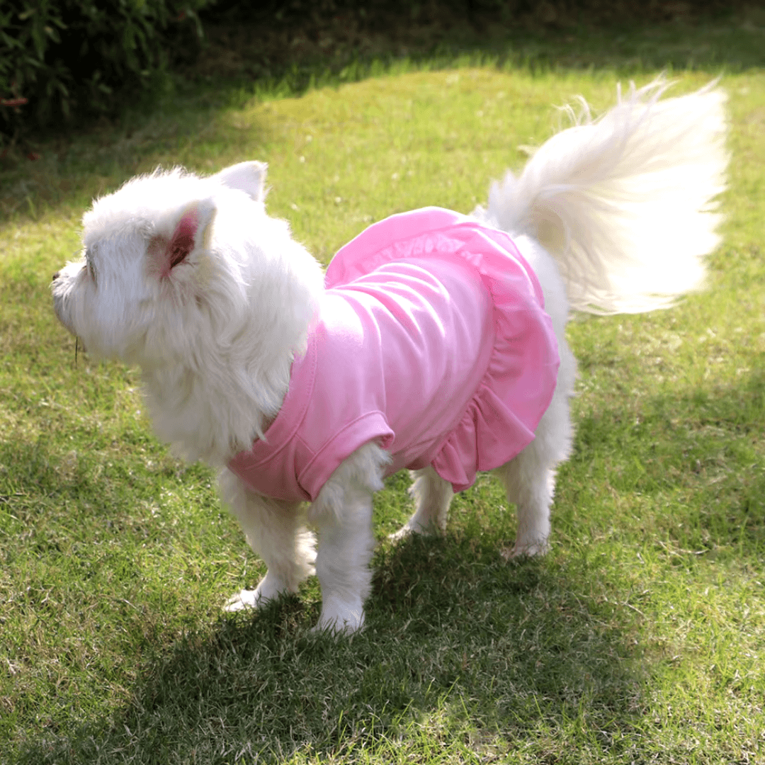 Mini Saia para PETS - O Chico Tem