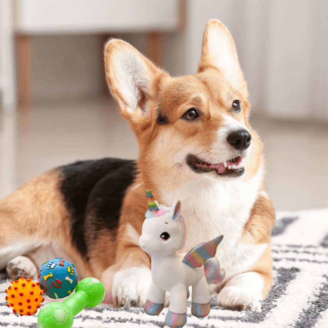 Unicórnio de Pelúcia para PETS - O Chico Tem