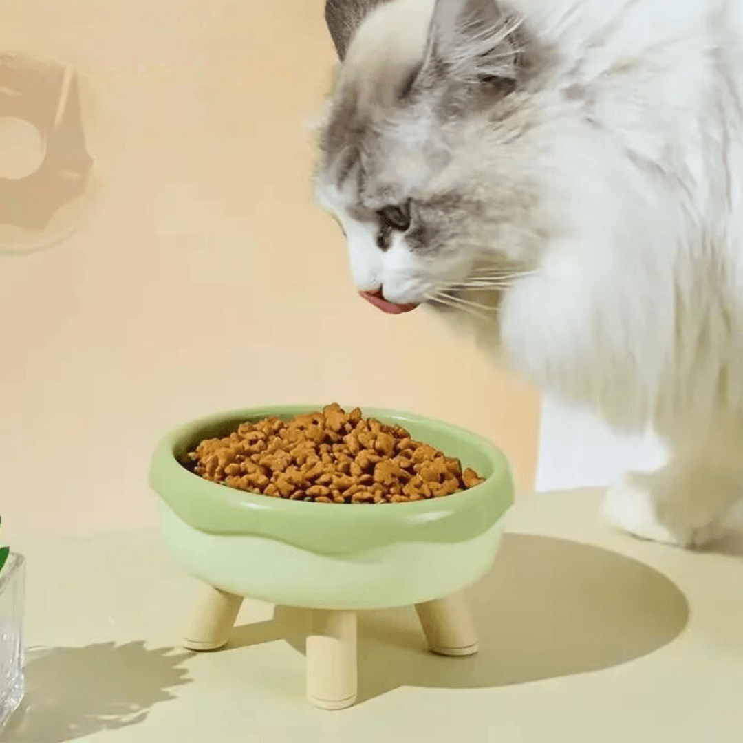Tigelas para Alimentação com Suporte Elevado - O Chico Tem