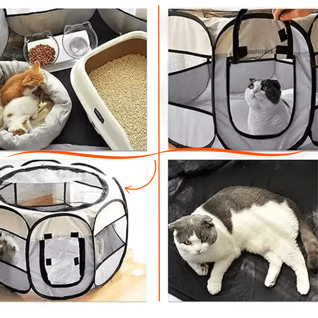 Tenda Dobrável Portátil Para Pet - O Chico Tem