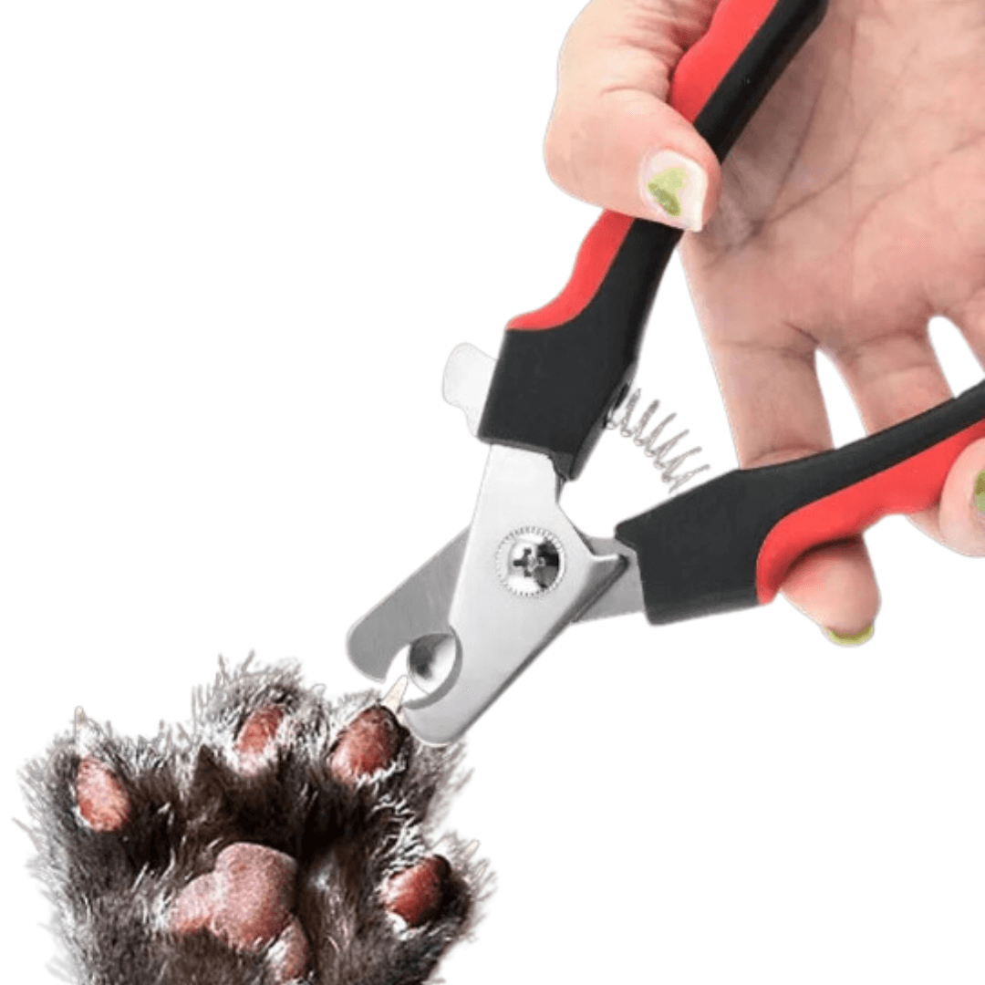 Cortador de Unhas Manual para PET - O Chico Tem