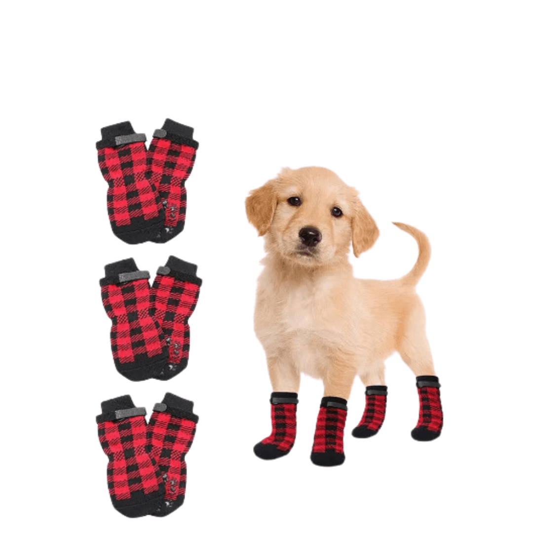 Meia de Natal Para Cão - O Chico Tem