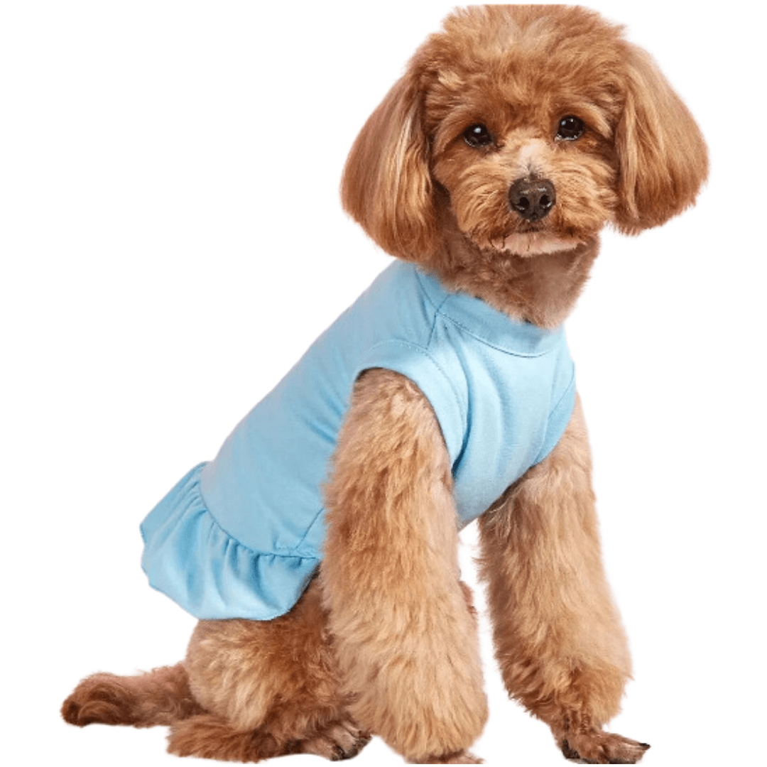 Mini Saia para PETS - O Chico Tem