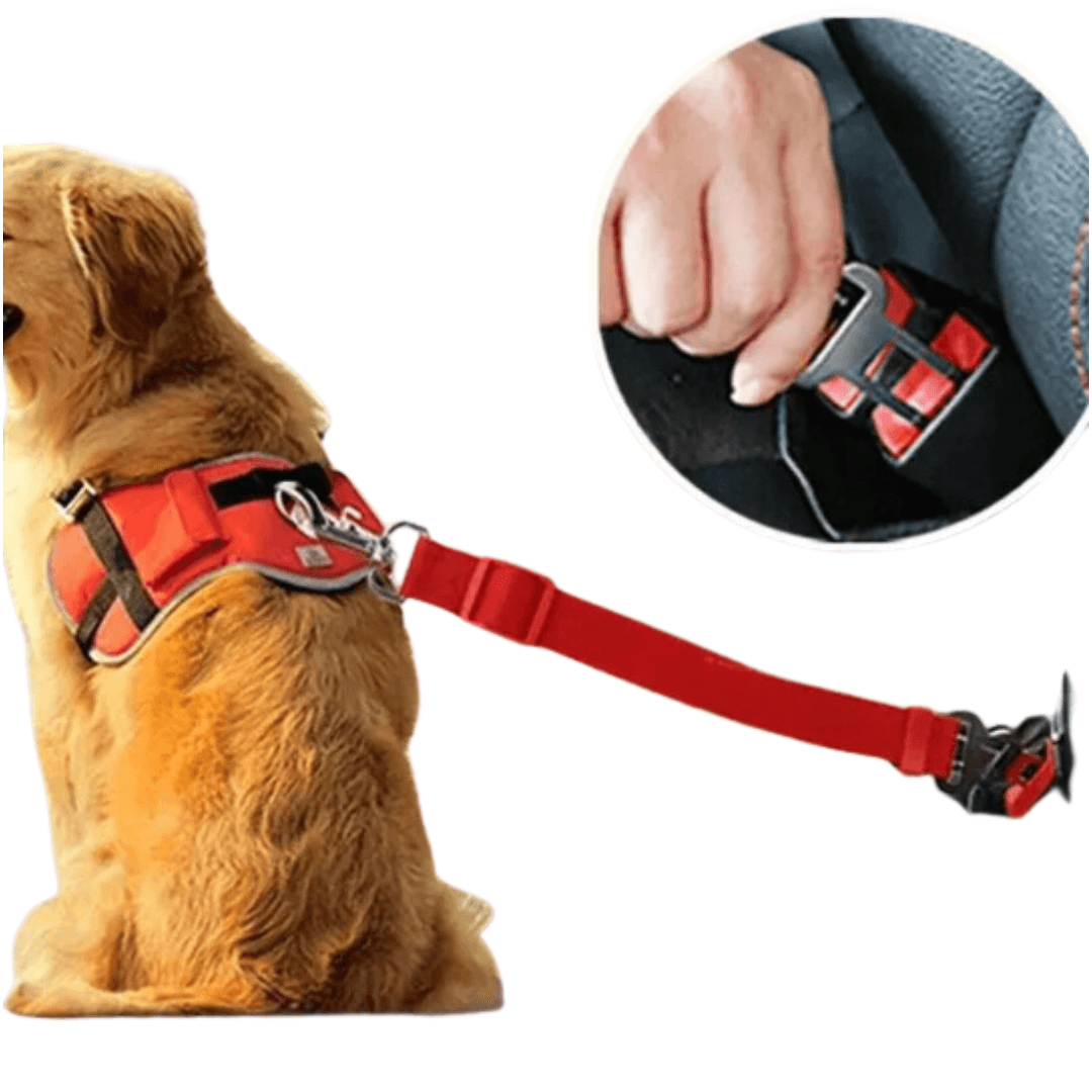 Cinto de Segurança Ajustável Para Pet - O Chico Tem